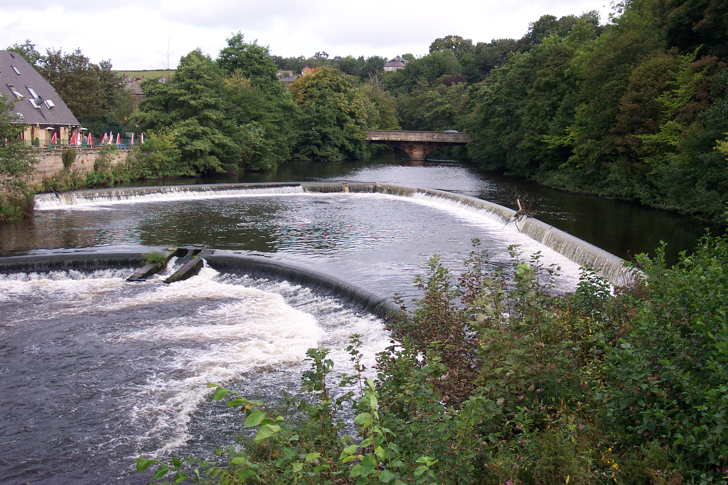 The Weir at Milford