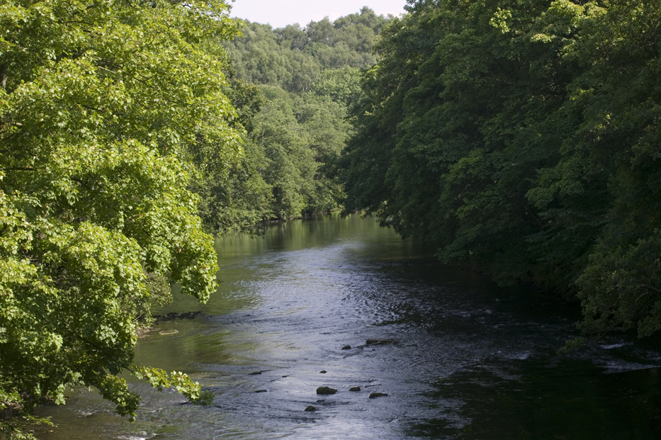 The landscape of the Derwent Valley