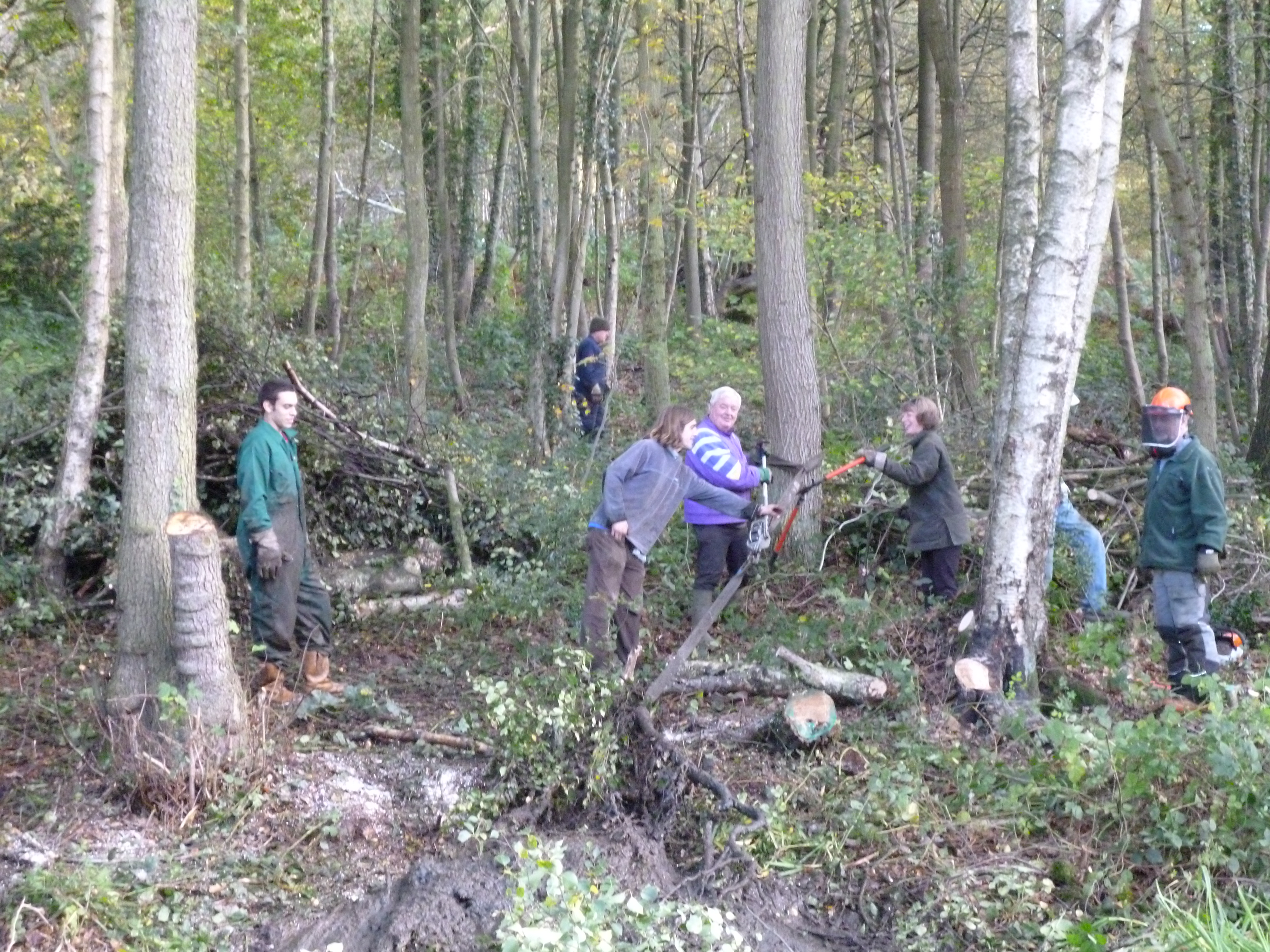 26GetInvolved_RegisterYourInterest Reserve Work Party volunteers help out with woodland clearing at Cromford