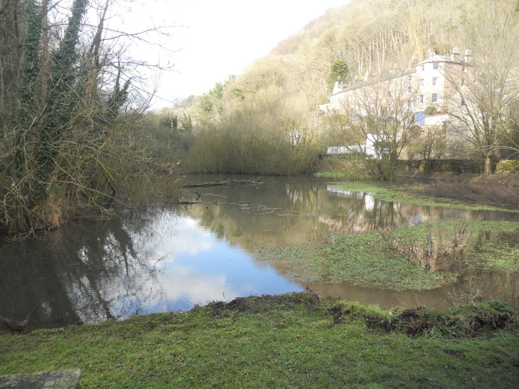 slinter mill pond project