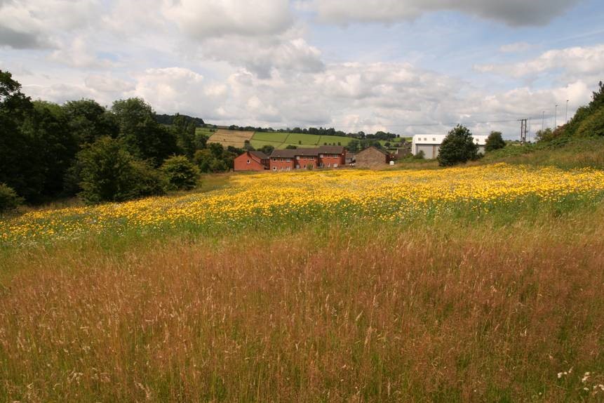 Belper Parks