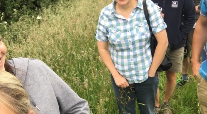 High Leas Farm Meadow Enhancement