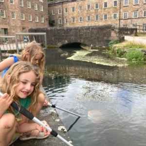 Pond dipping at Cromford Mills