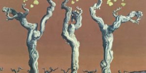 Marion Adnams