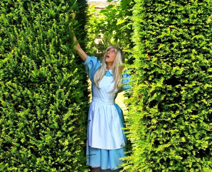 Alice in Wonderland