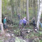 woodland management