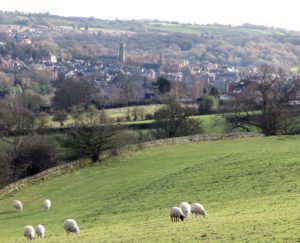 Wyver Farm Paths