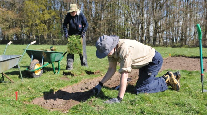 Lea Wood and Bow Wood survey