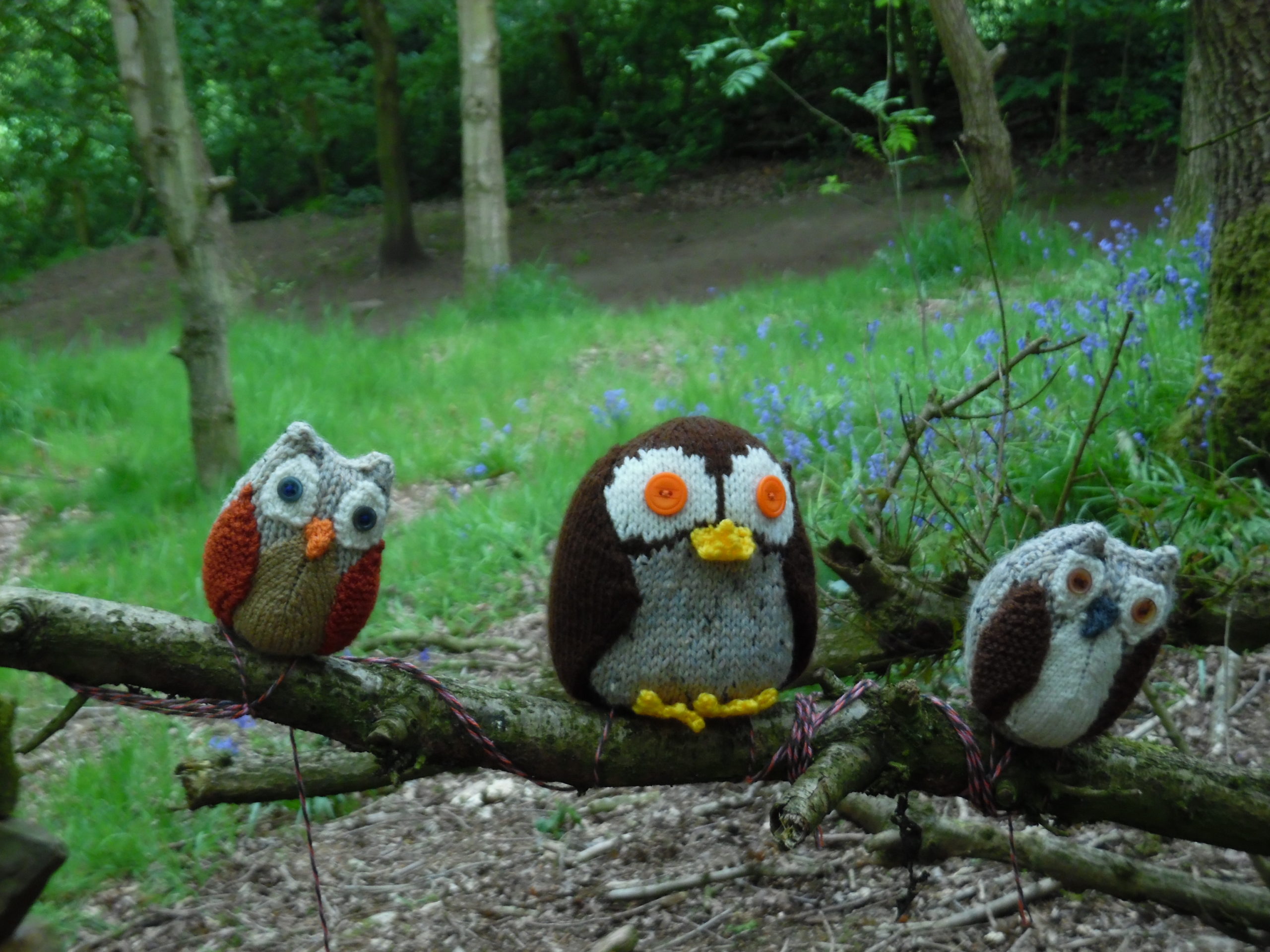 Belper Woollen Woods Trail