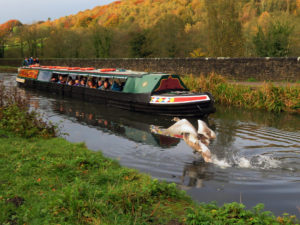 Cromford Canal