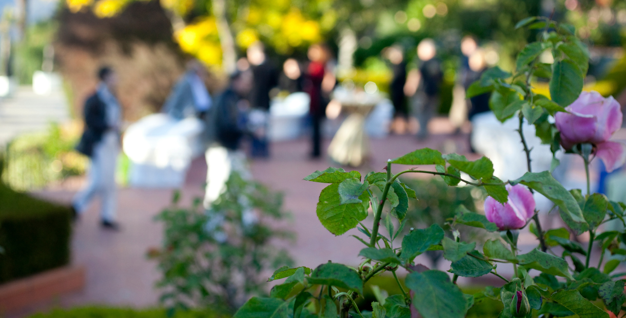 Lumsdale Garden Party